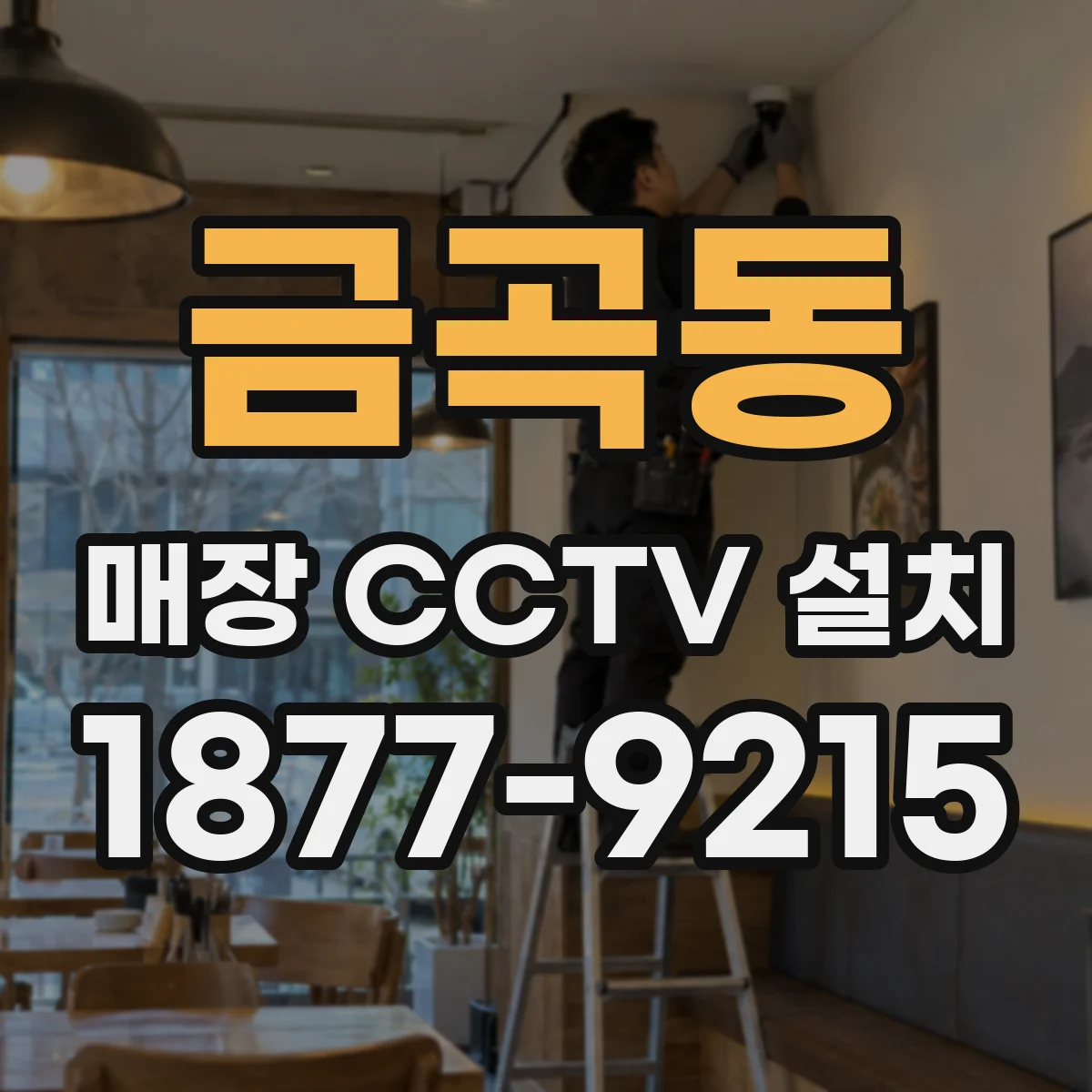 금곡동 매장 CCTV 설치