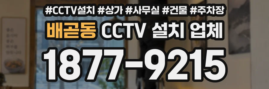 배곧동 CCTV 설치 업체