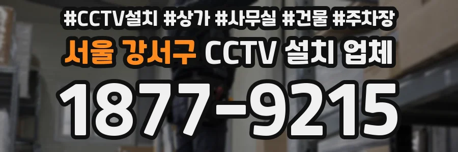 서울 강서구 CCTV 설치 업체