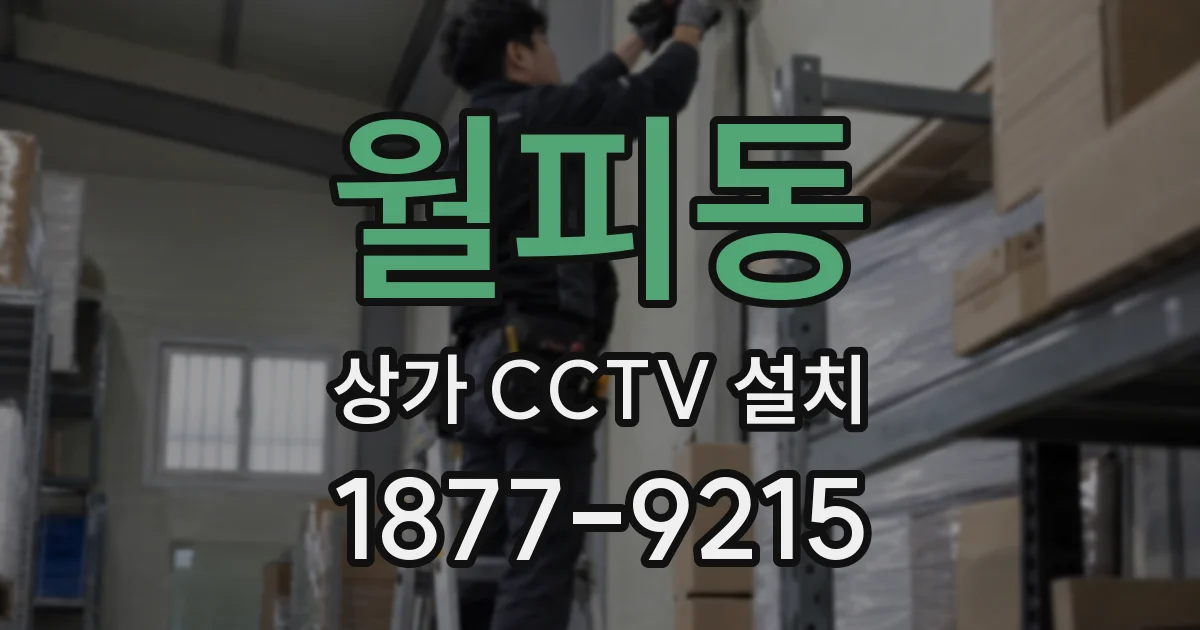 월피동 상가 CCTV 설치