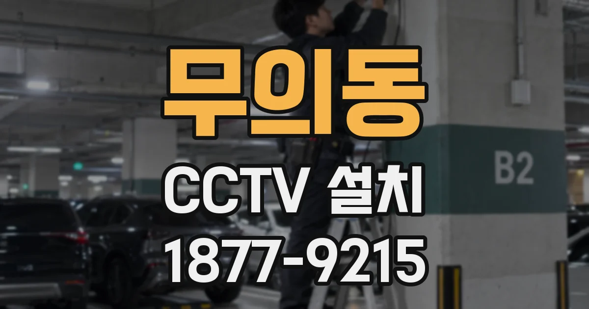 무의동 CCTV 설치