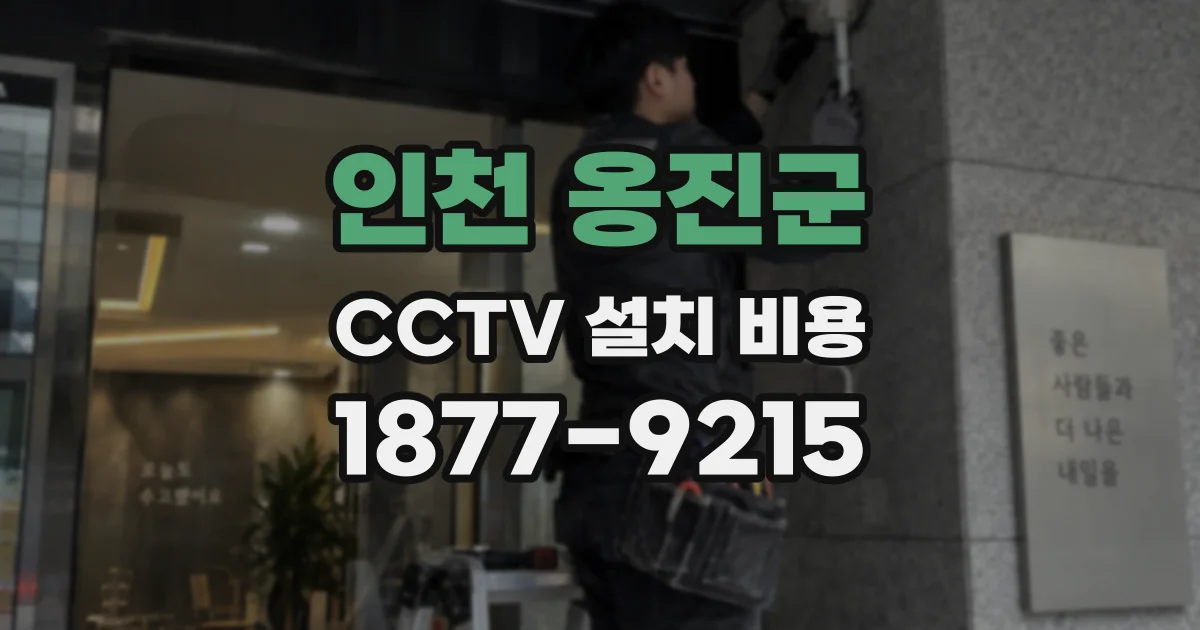 인천 옹진군 CCTV 설치 비용