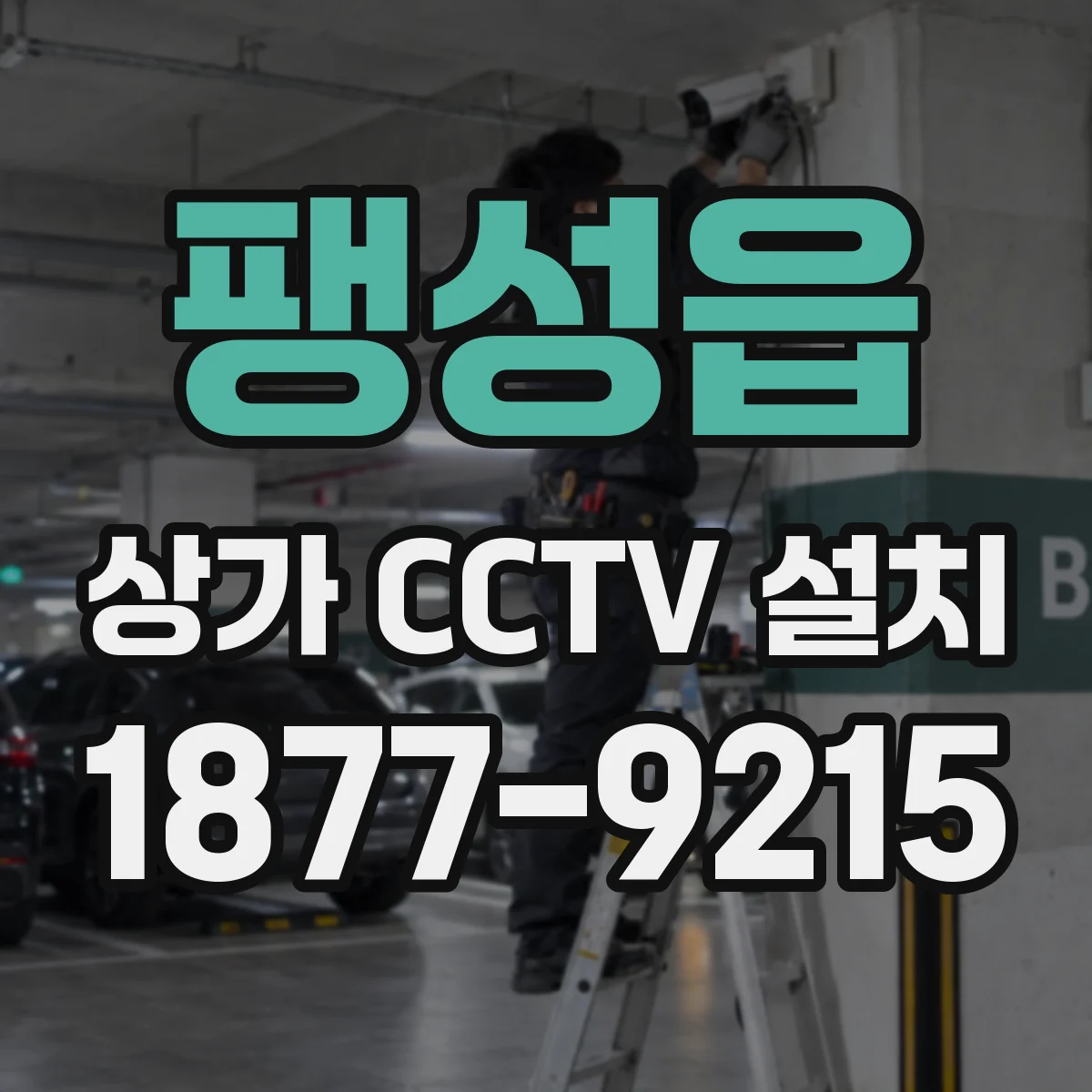 팽성읍 상가 CCTV 설치