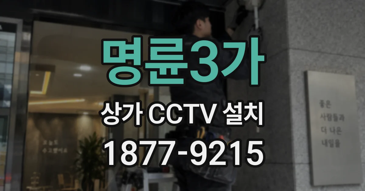 명륜3가 상가 CCTV 설치