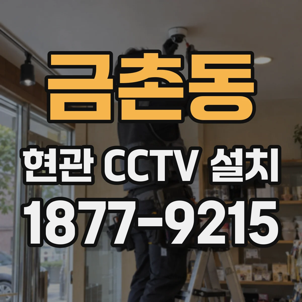 금촌동 현관 CCTV 설치