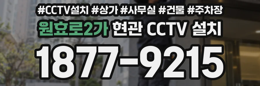원효로2가 현관 CCTV 설치