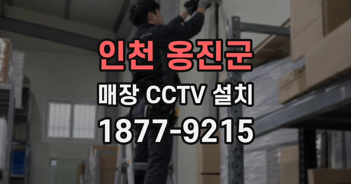 인천 옹진군 매장 CCTV 설치