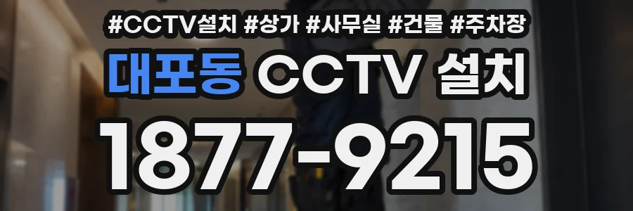 대포동 CCTV 설치