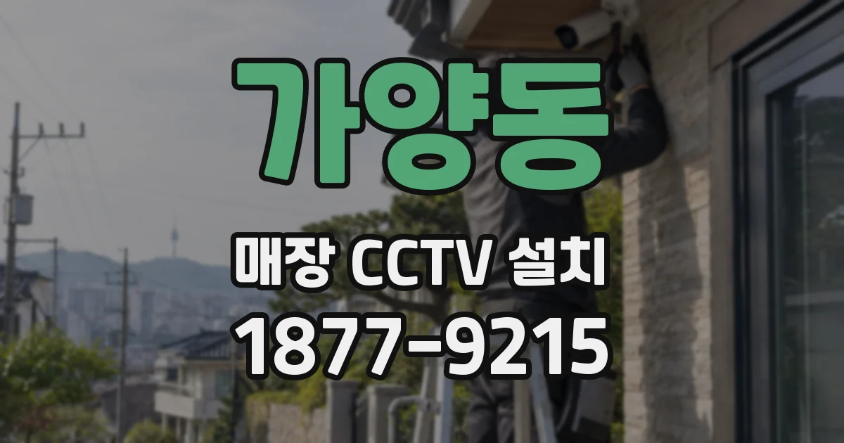 가양동 매장 CCTV 설치