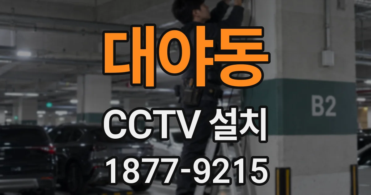 대야동 CCTV 설치