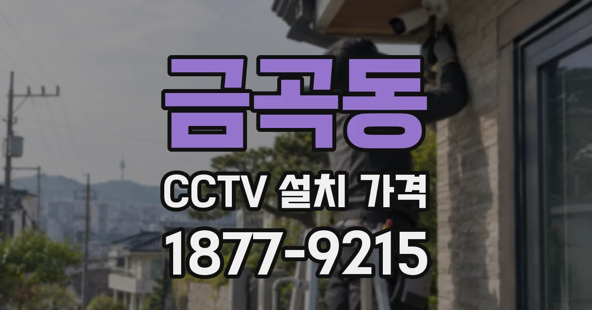 금곡동 CCTV 설치 가격