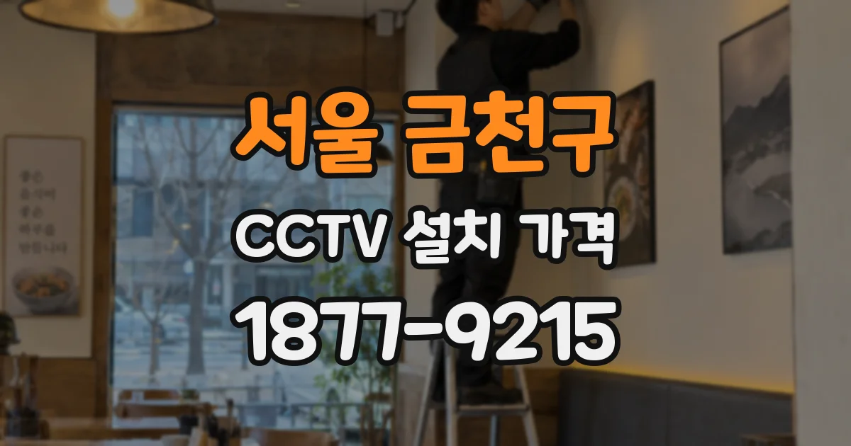 서울 금천구 CCTV 설치 가격