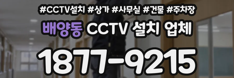 배양동 CCTV 설치 업체