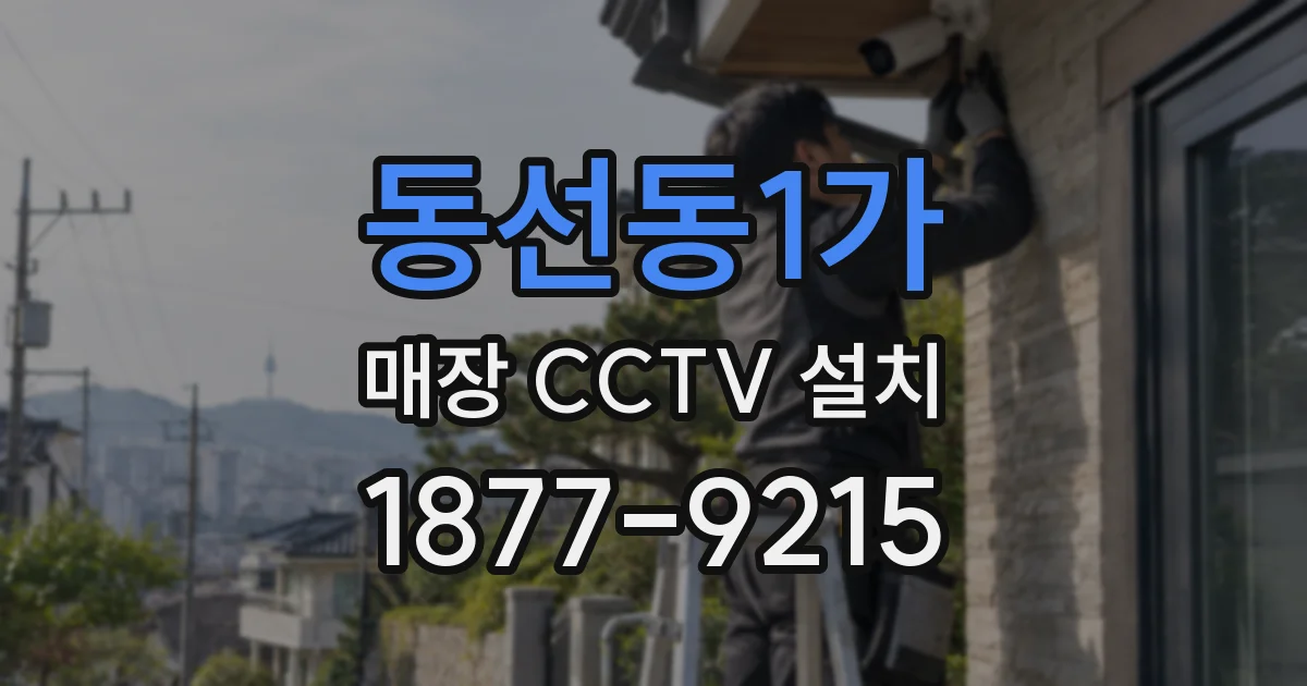동선동1가 매장 CCTV 설치