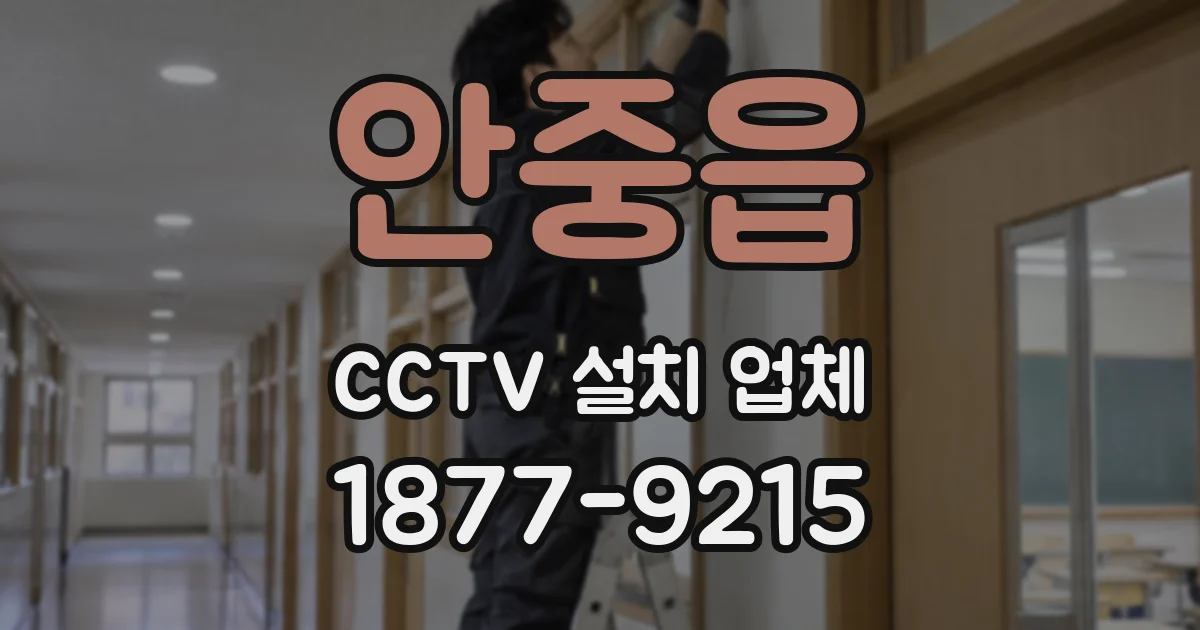 안중읍 CCTV 설치 업체