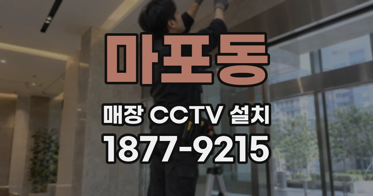 마포동 매장 CCTV 설치