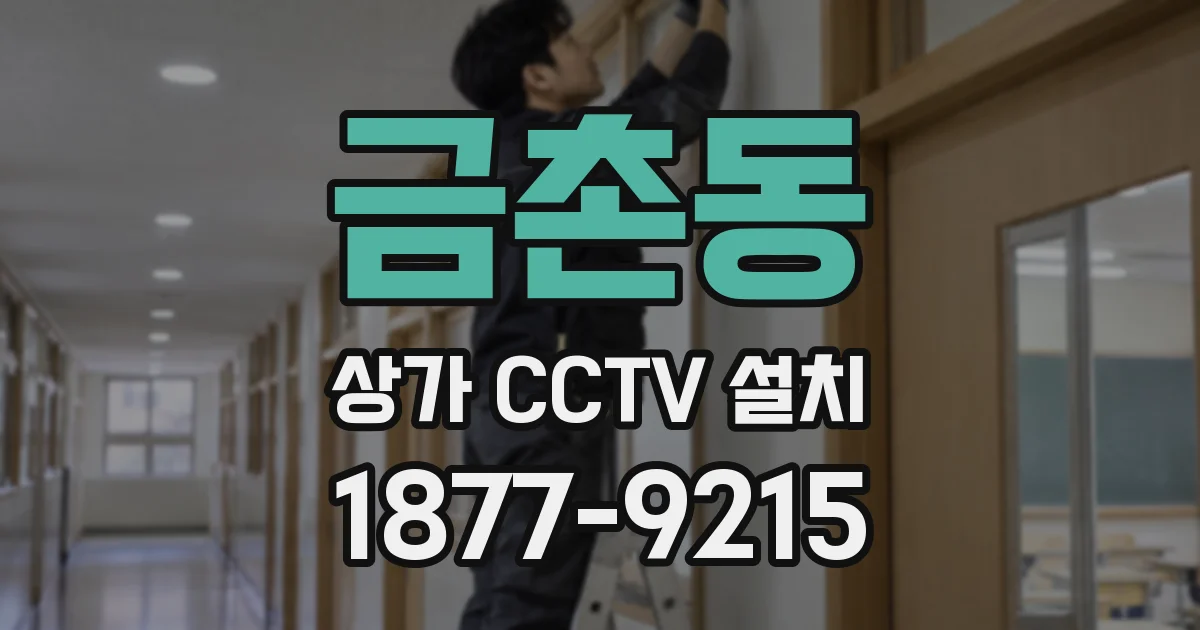 금촌동 상가 CCTV 설치