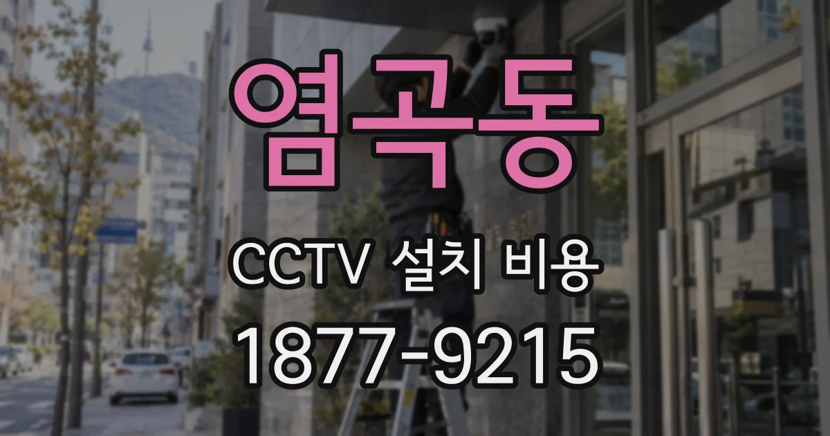 염곡동 CCTV 설치 비용