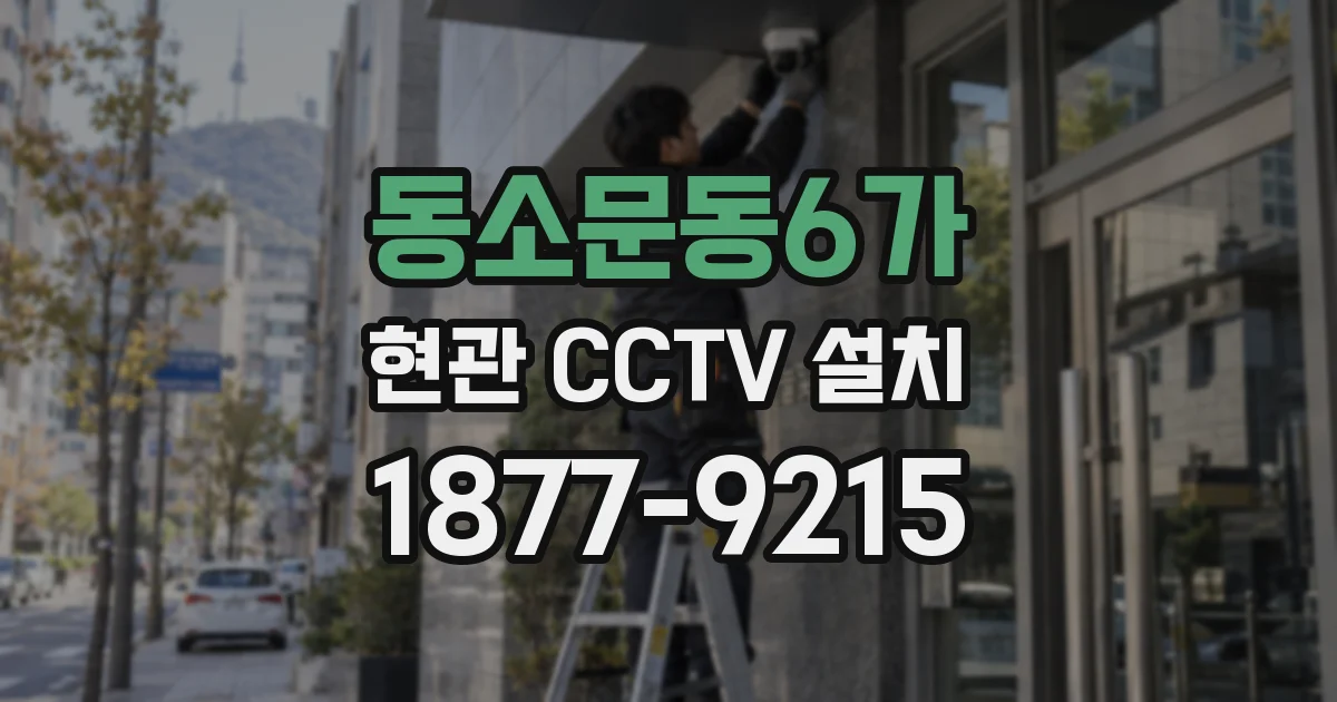 동소문동6가 현관 CCTV 설치