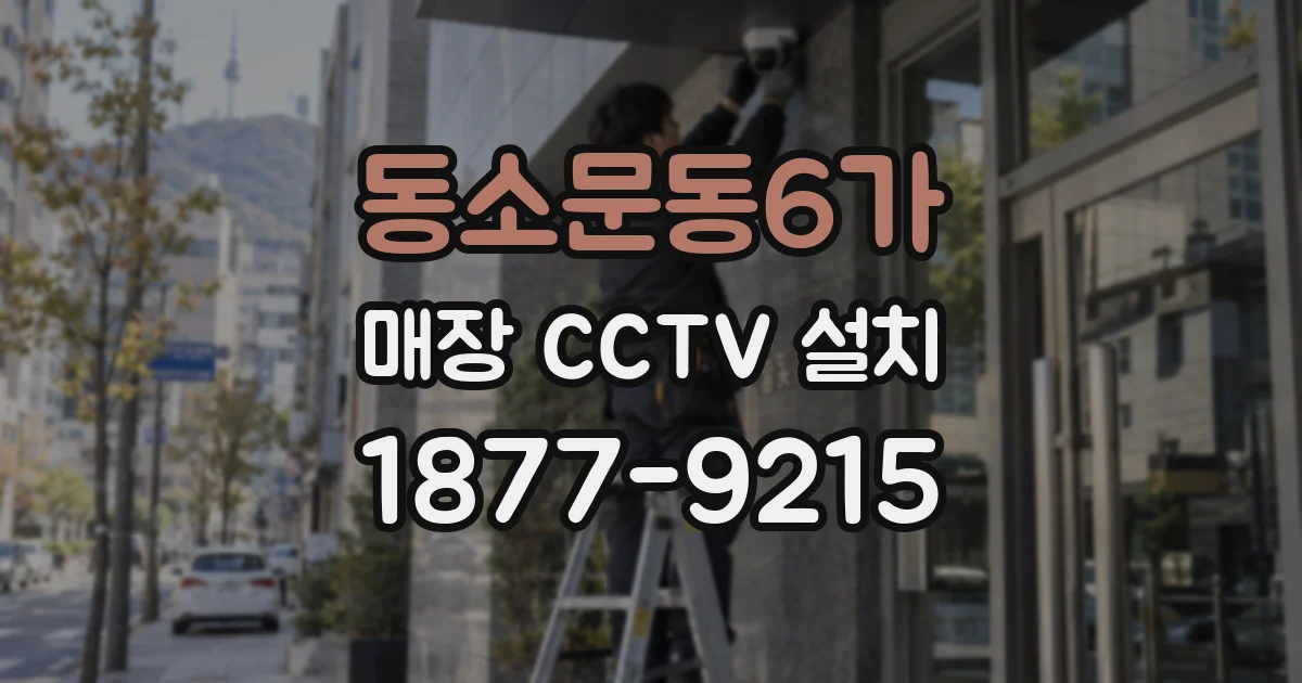 동소문동6가 매장 CCTV 설치
