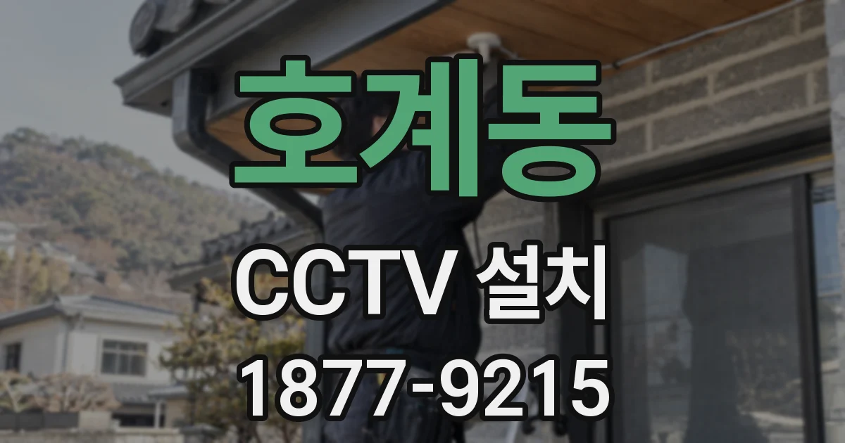 호계동 CCTV 설치