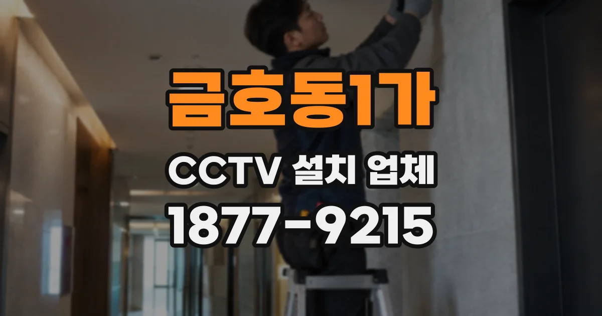 금호동1가 CCTV 설치 업체
