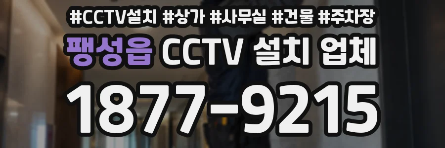 팽성읍 CCTV 설치 업체