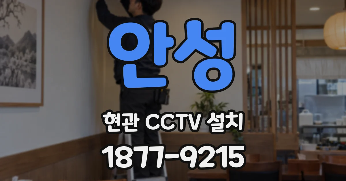 안성 현관 CCTV 설치