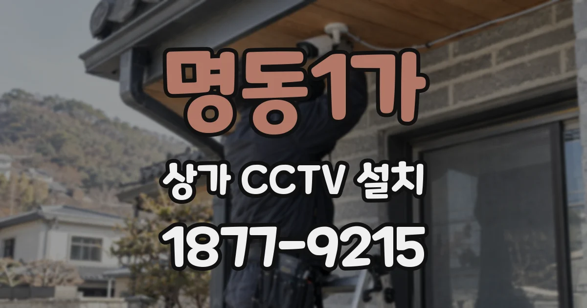 명동1가 상가 CCTV 설치
