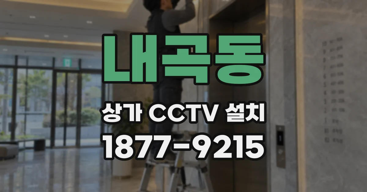내곡동 상가 CCTV 설치