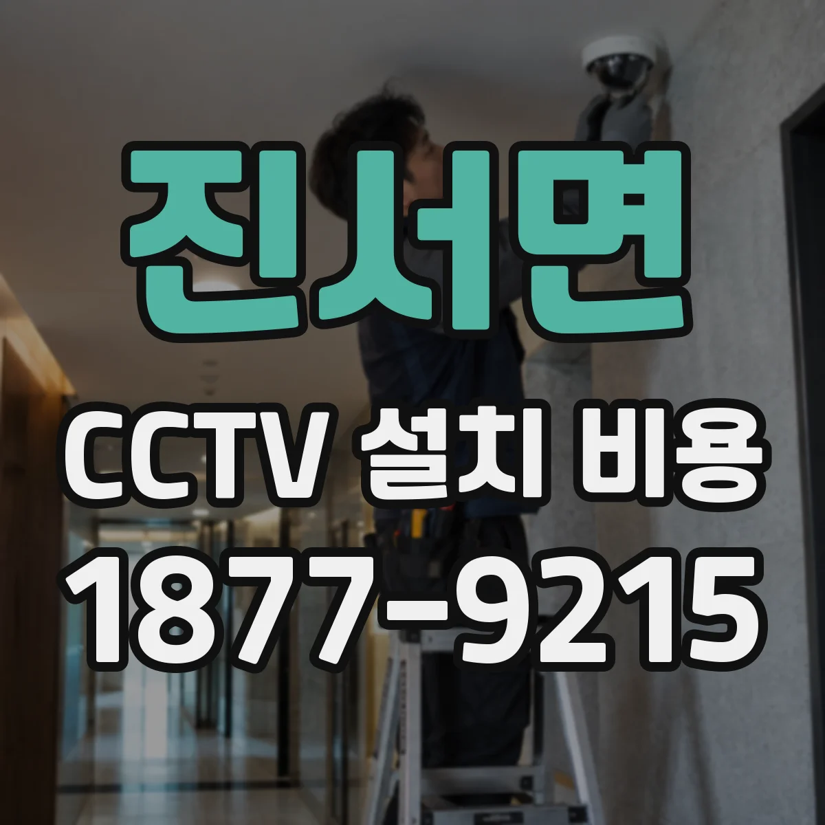 진서면 CCTV 설치 비용