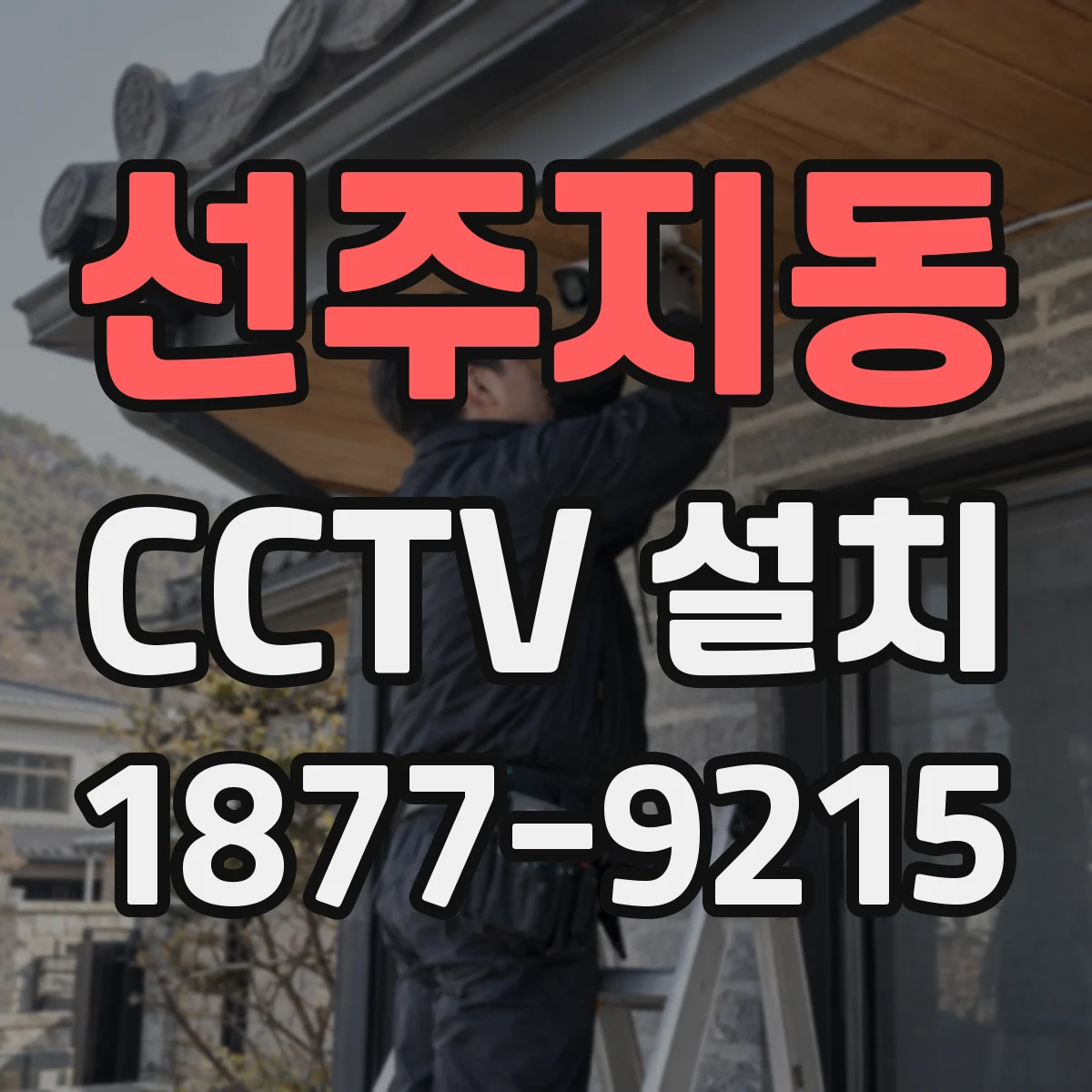 선주지동 CCTV 설치