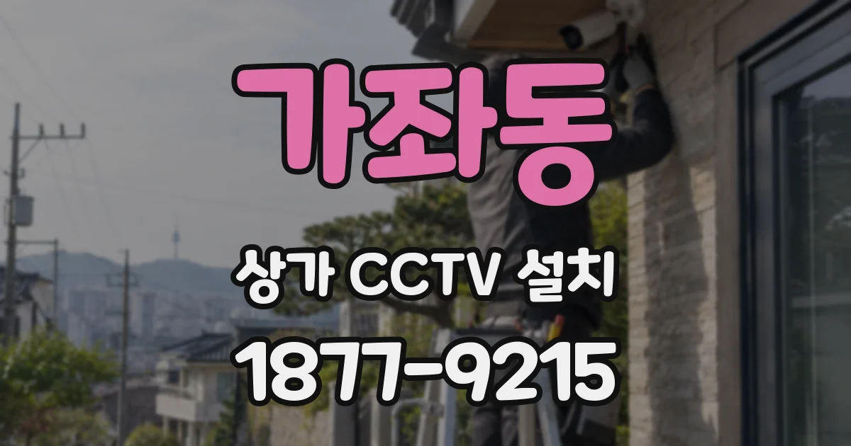 가좌동 상가 CCTV 설치