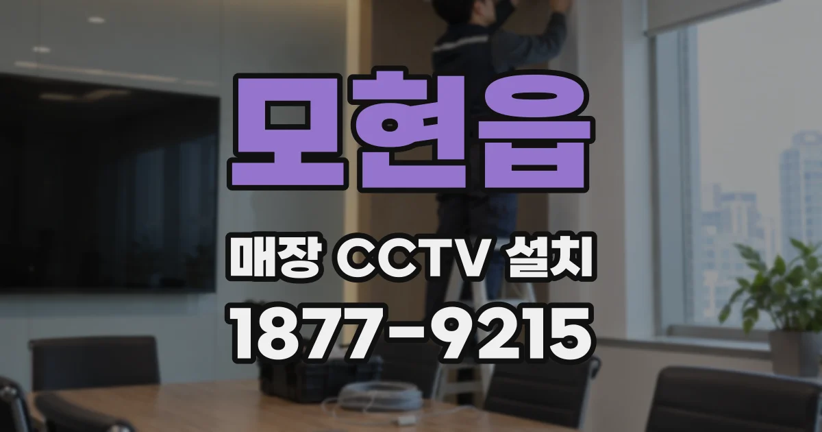 모현읍 매장 CCTV 설치