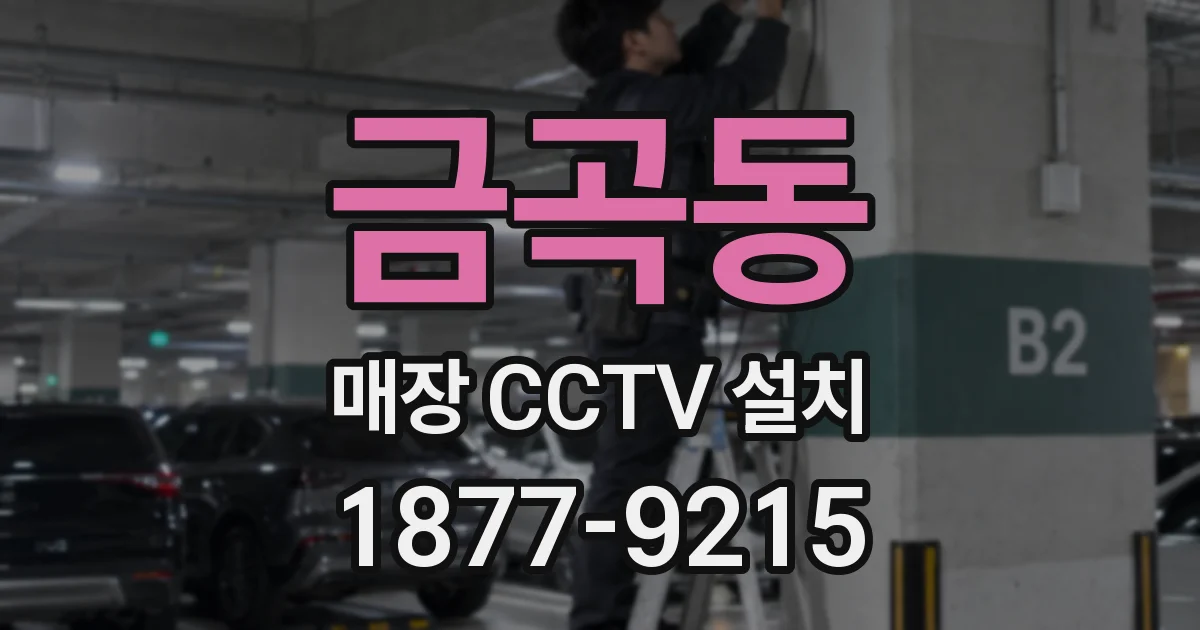 금곡동 매장 CCTV 설치