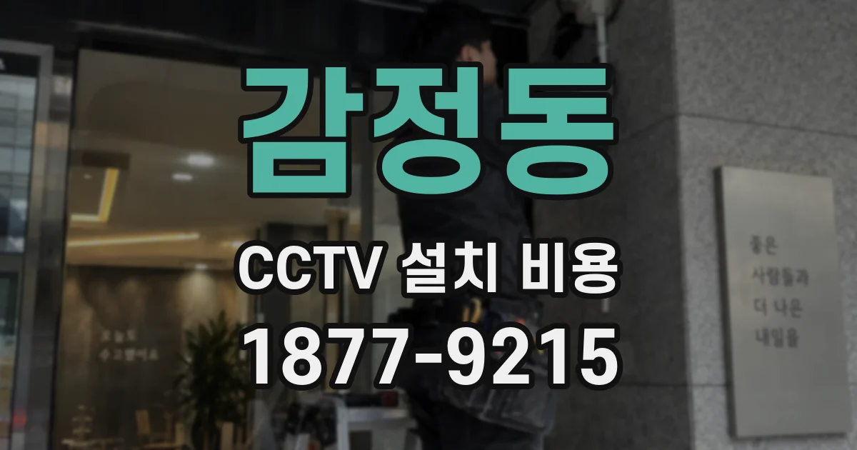 감정동 CCTV 설치 비용