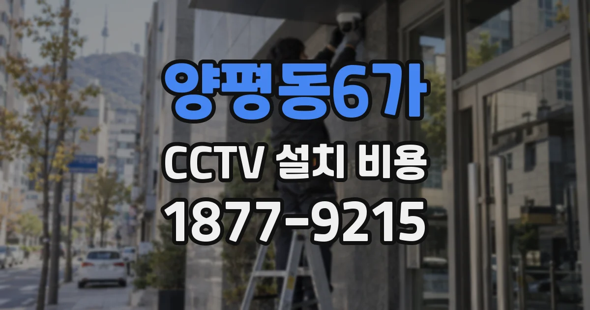 양평동6가 CCTV 설치 비용