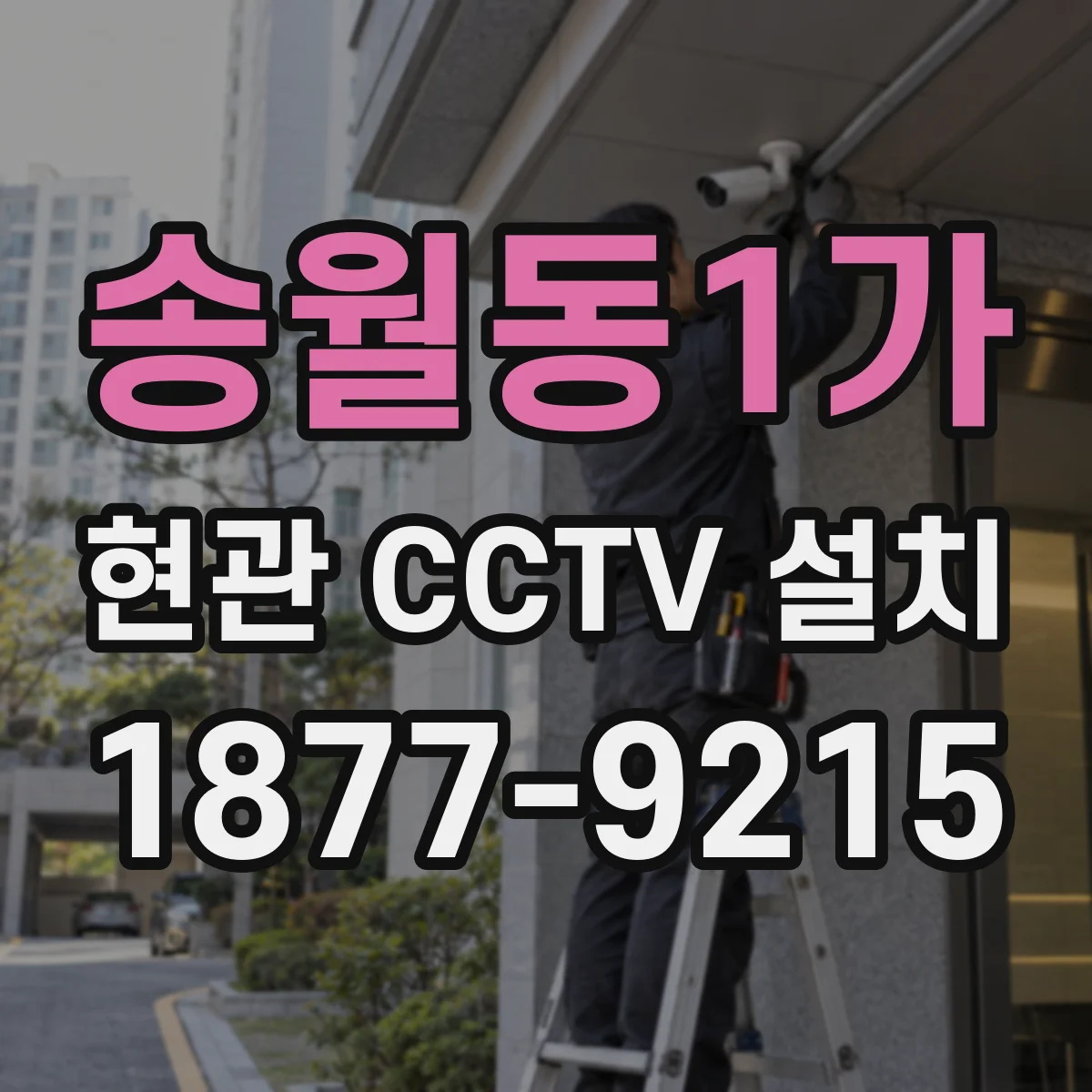 송월동1가 현관 CCTV 설치