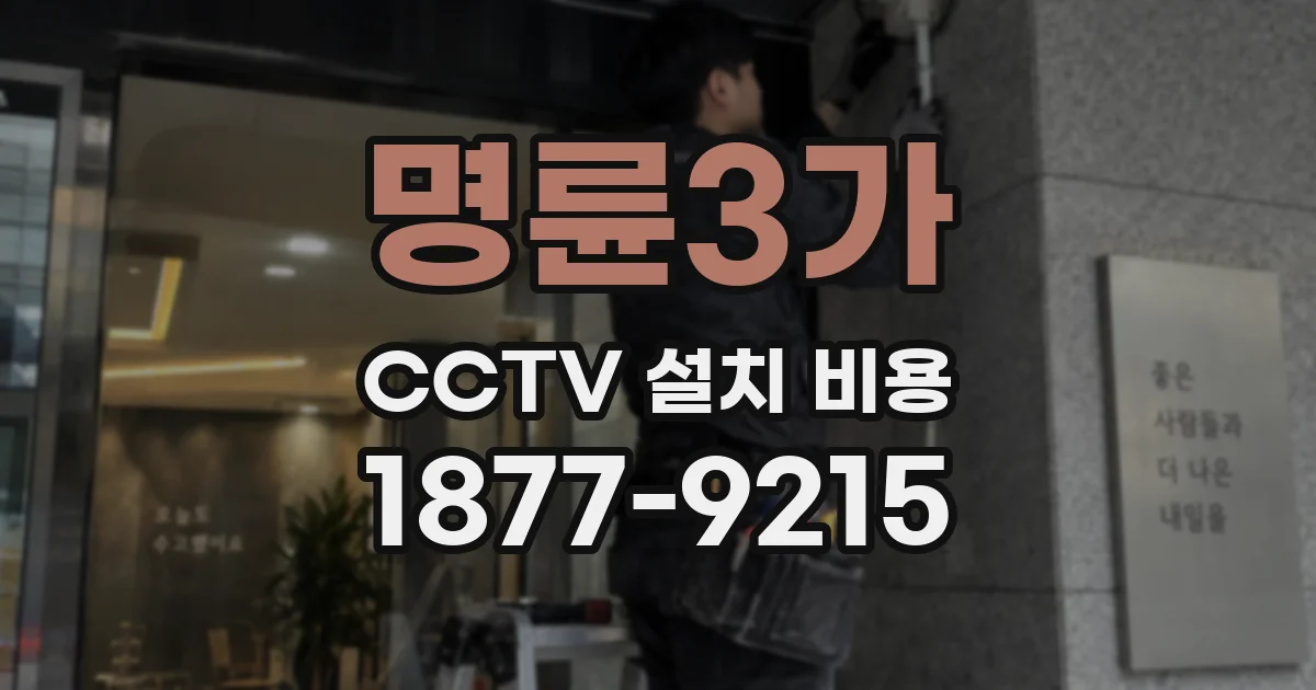 명륜3가 CCTV 설치 비용