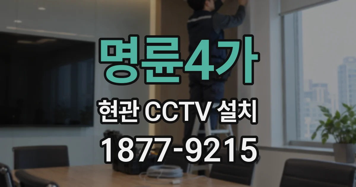 명륜4가 현관 CCTV 설치