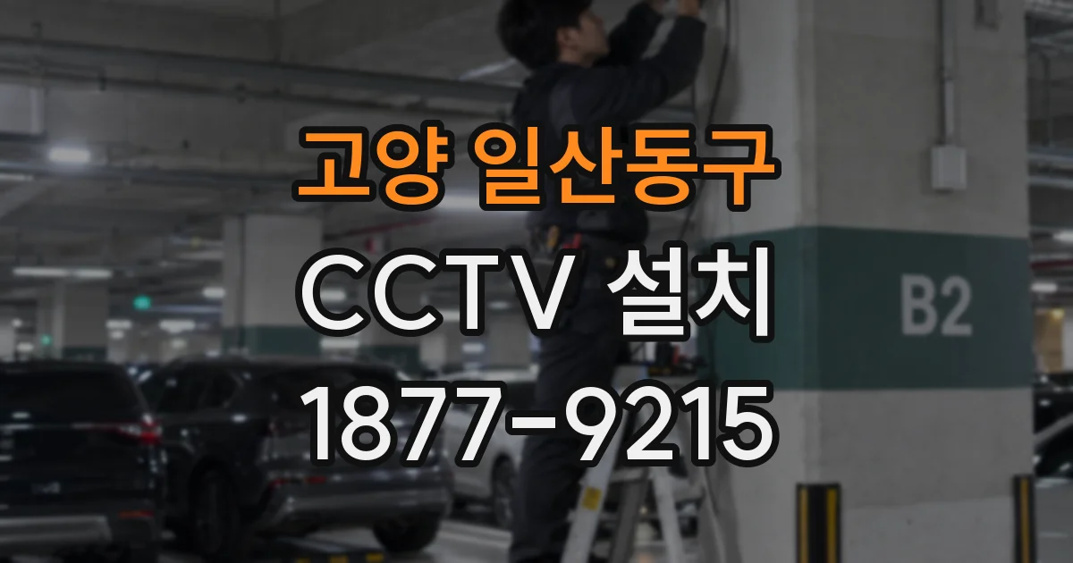 고양 일산동구 CCTV 설치