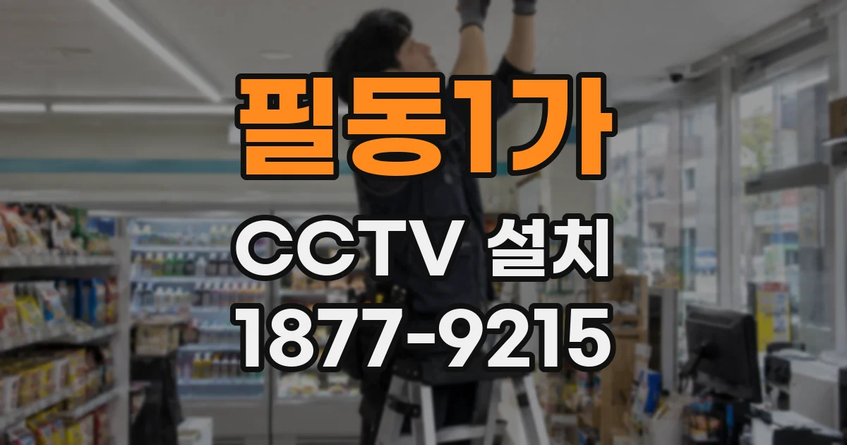 필동1가 CCTV 설치