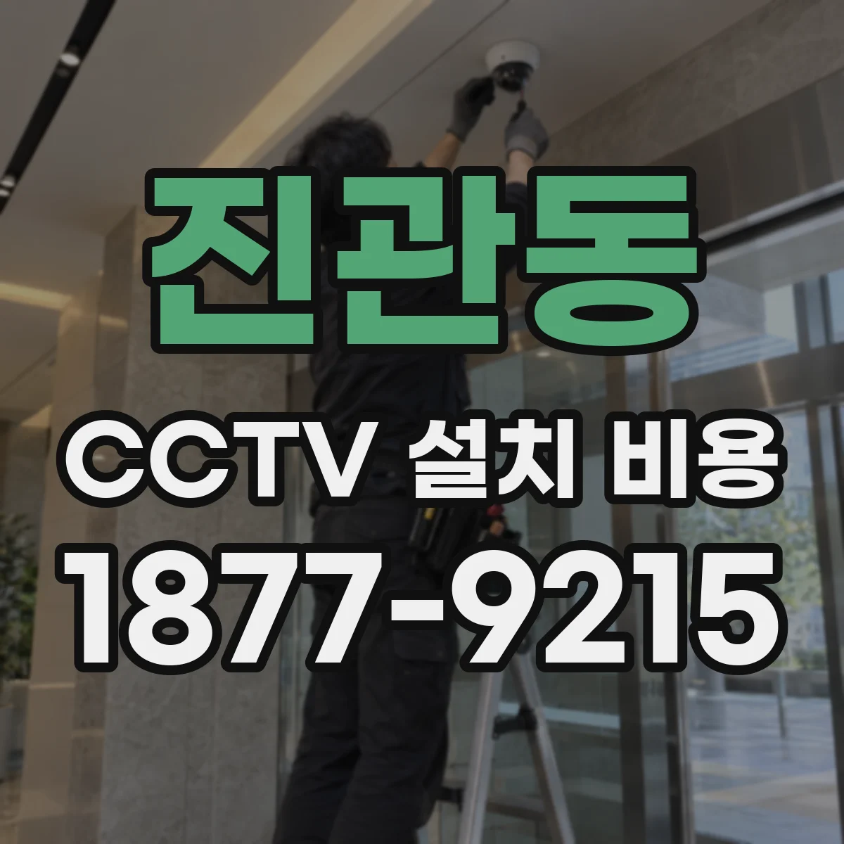 진관동 CCTV 설치 비용