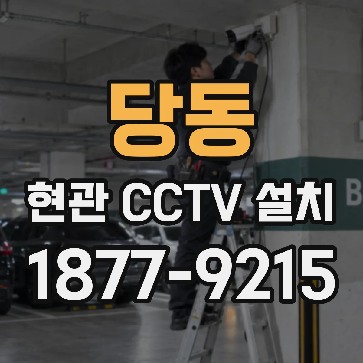 당동 현관 CCTV 설치