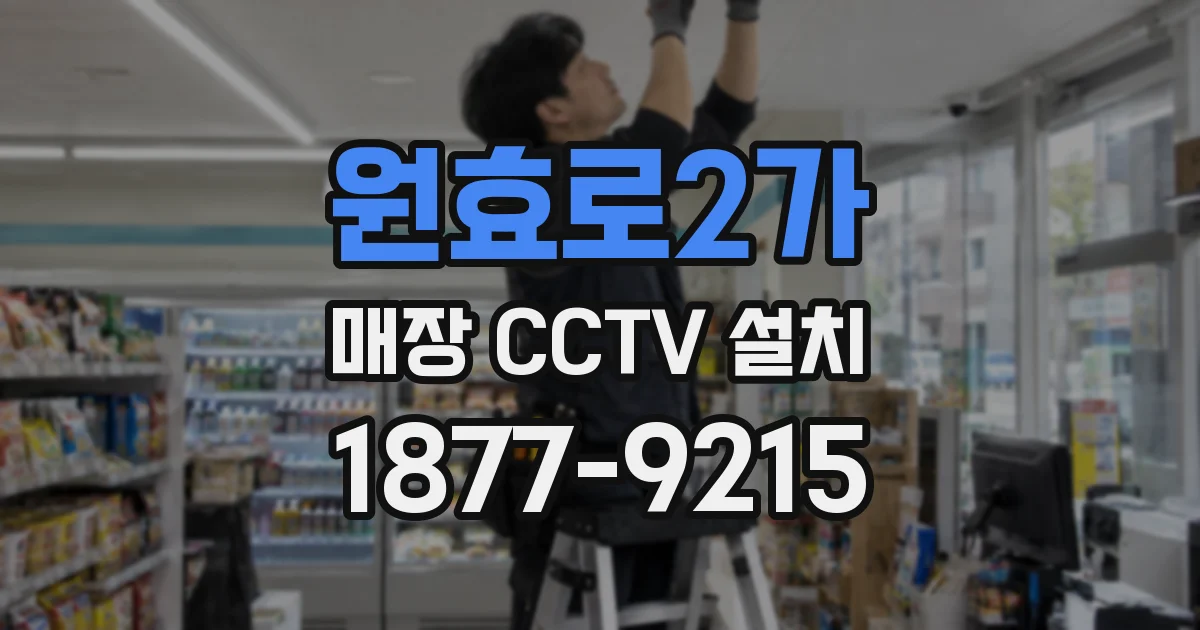 원효로2가 매장 CCTV 설치