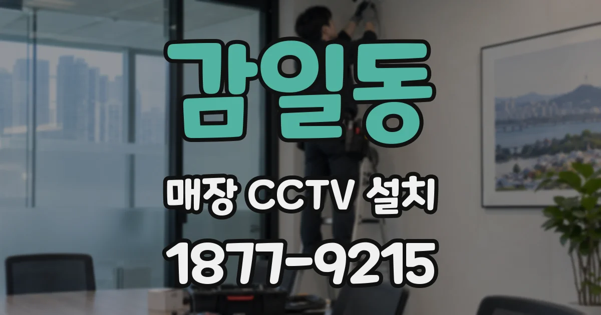감일동 매장 CCTV 설치