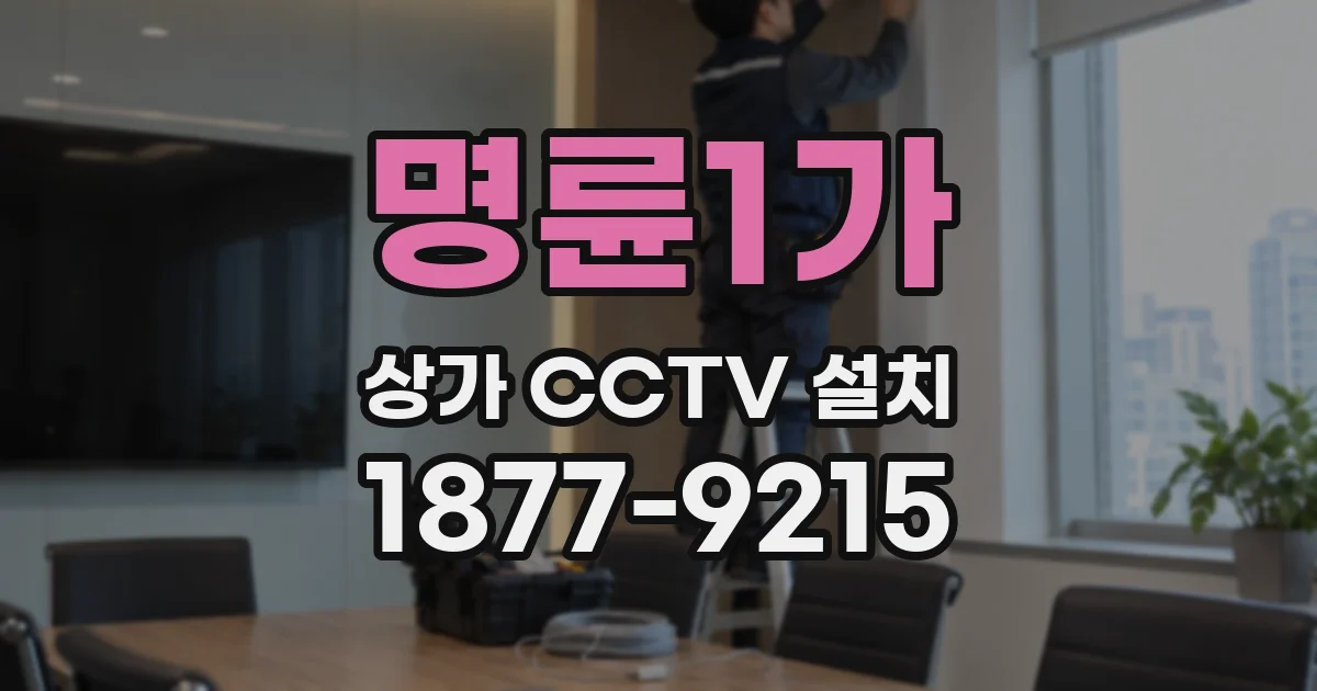 명륜1가 상가 CCTV 설치