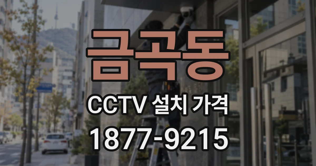 금곡동 CCTV 설치 가격