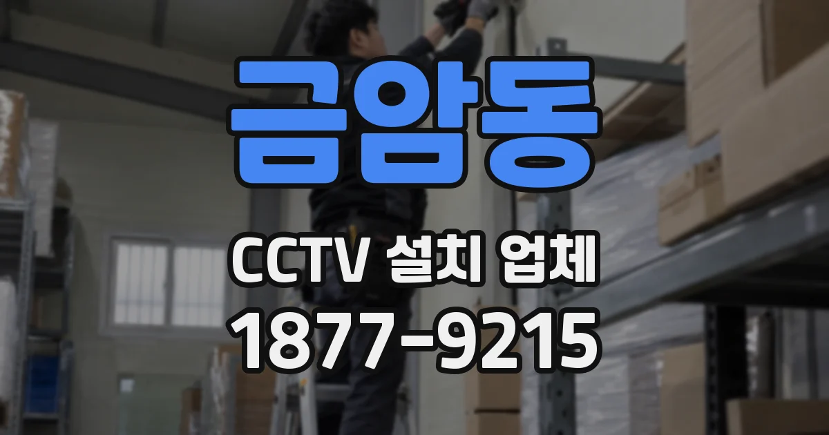 금암동 CCTV 설치 업체
