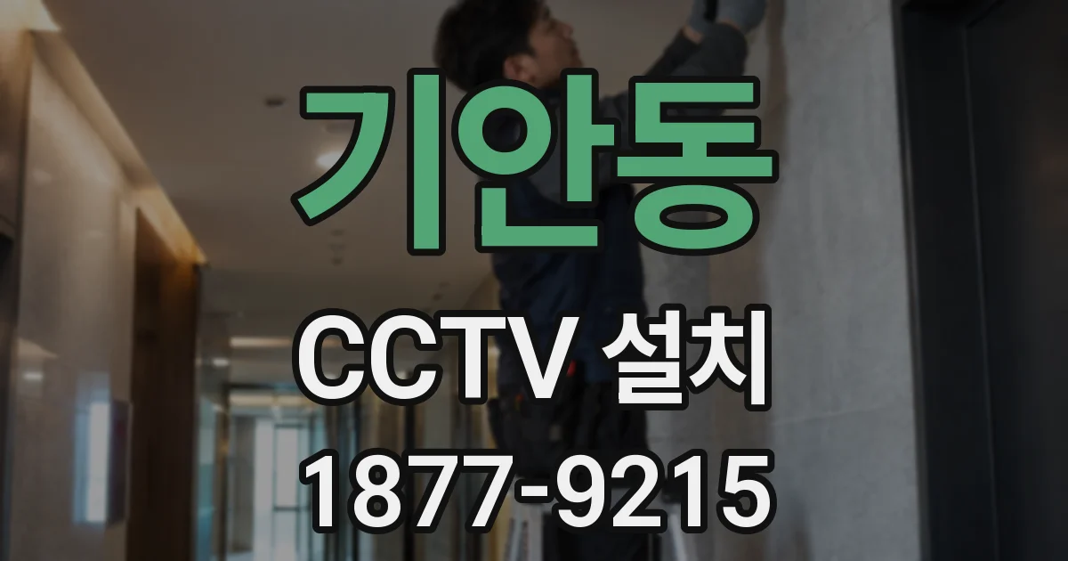 기안동 CCTV 설치